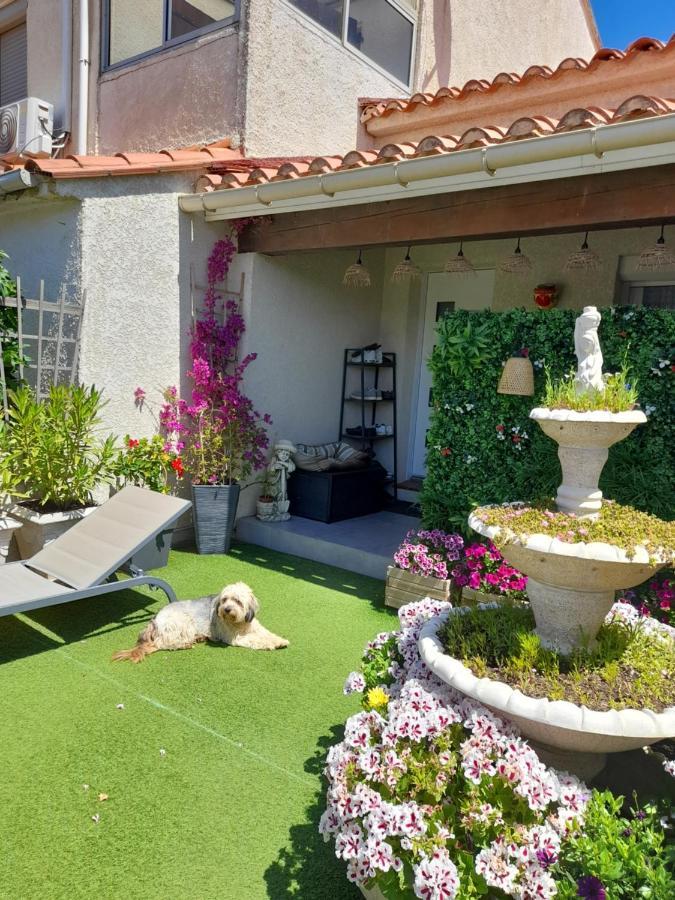 Les Pieds Dans L'Eau Apartment Sainte-Marie-la-Mer Ngoại thất bức ảnh